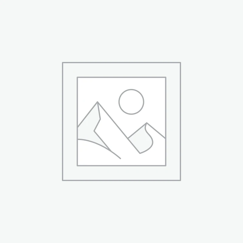 Jabra Speak2 75 MS TEAMS LINK 380 C